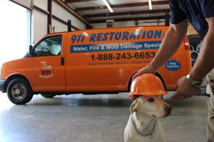 Fire Damage Restoration Fernley Pup at 911 Restoration Headquarters