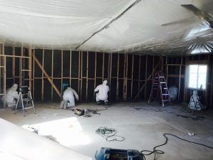 911 Restoration Reno Mold Removal